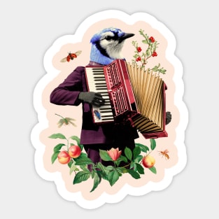 Blue birth with fancy suit playing the accordion funny Sticker